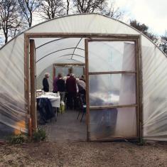 The polytunnel, Trengwainton botanical illustration Spring course The polytunnel, Trengwainton botanical illustration Spring course