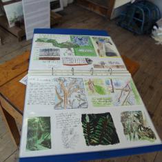 Trythall School Exhibition Trythall School Exhibition