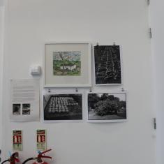 Home of Springs, Trengwainton exhibition 