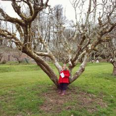 Trythall School, Infants workshop, Trengwainton Garden Trythall School, Infants workshop, Trengwainton Garden