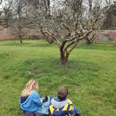Trythall School, Infants workshop, Trengwainton Garden Trythall School, Infants workshop, Trengwainton Garden