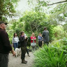 The group venturing out into the garden, Trengwainton. 