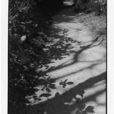 © Barbara Santi