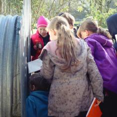 Newlyn School pupils looking in the WW2 shelter Newlyn School pupils looking in the WW2 shelter